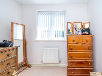 Picture 23